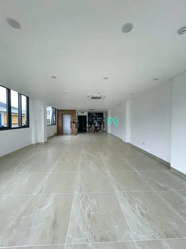 6061230 ảnh đại diện 1