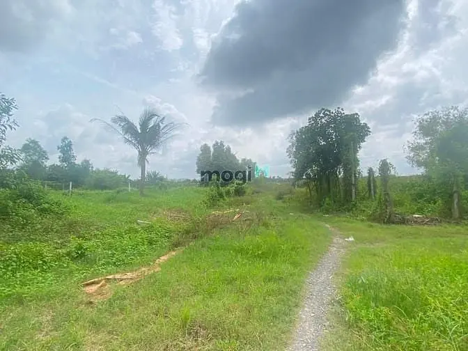 Bán Đất Vườn Mặt Tiền Đường Đê Số 1 Giá Rẻ