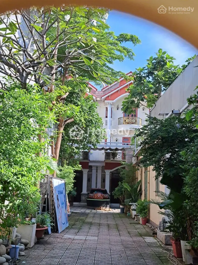 6061136 ảnh đại diện 1