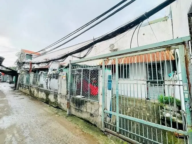 6060814 ảnh đại diện 1