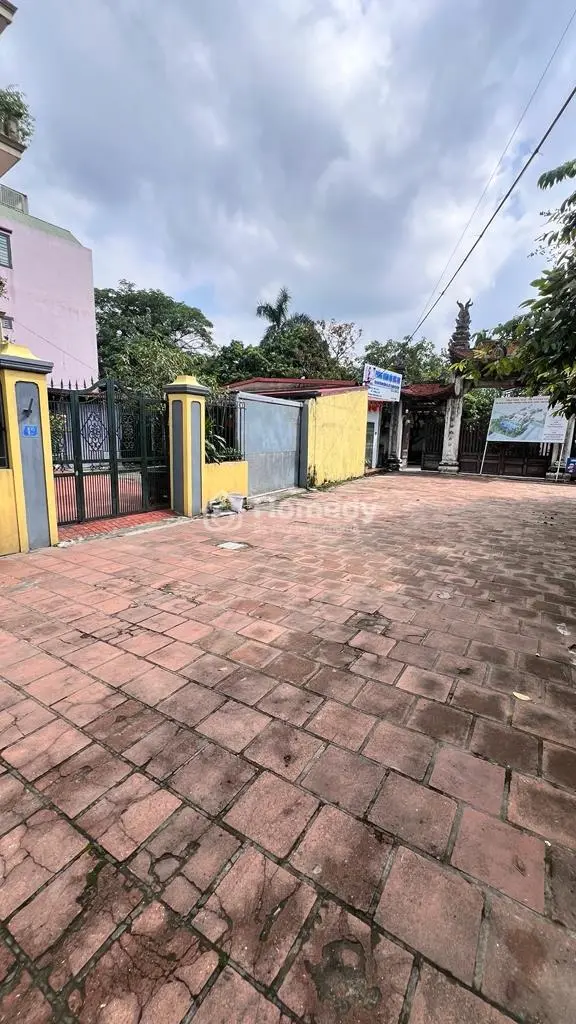 6061113 ảnh đại diện 1
