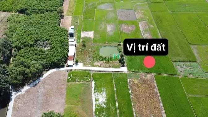 Bán Gấp Đất Thổ Nhà Vườn Nhơn Trạch, Mặt Tiền, Shr Chính Chủ,Gọi Ngay