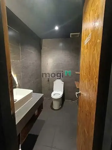 6060848 ảnh đại diện 1