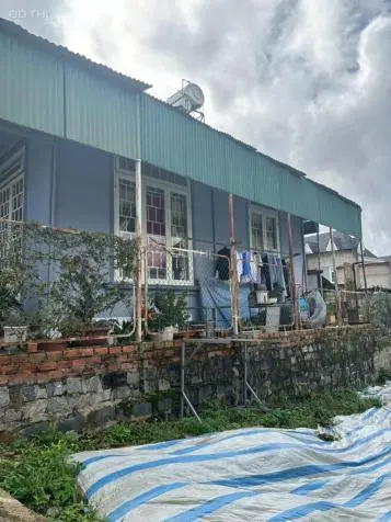 6060917 ảnh đại diện 1