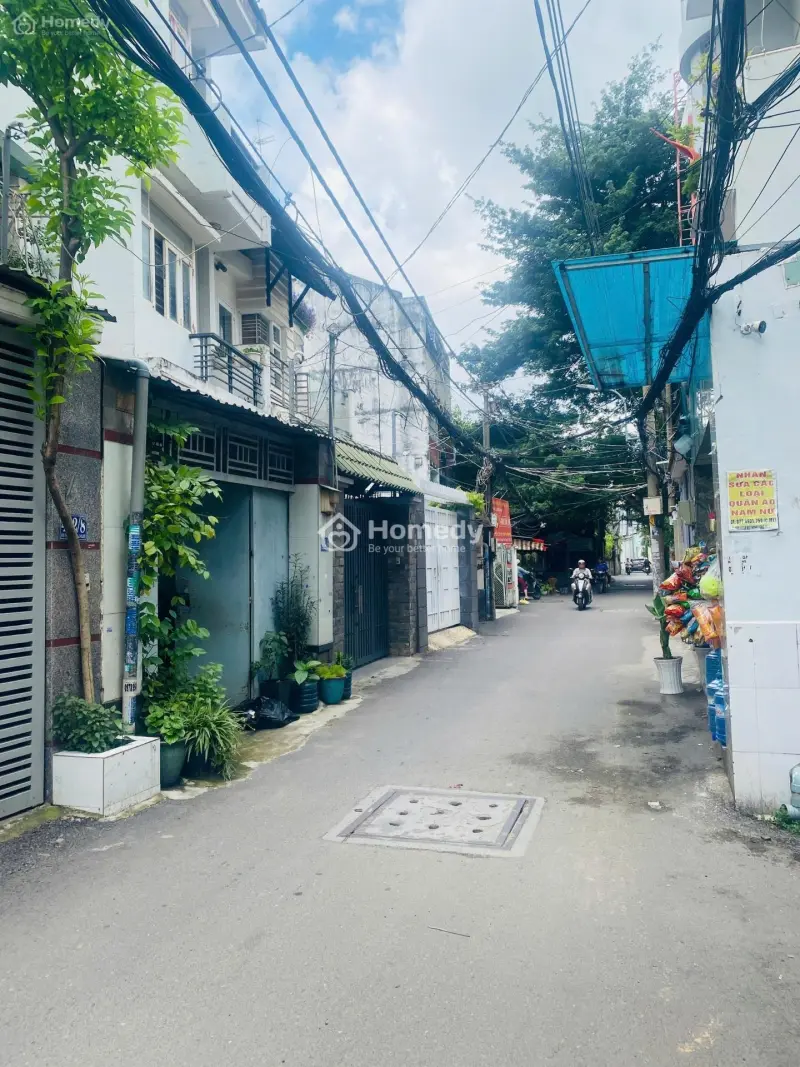 6061052 ảnh đại diện 1