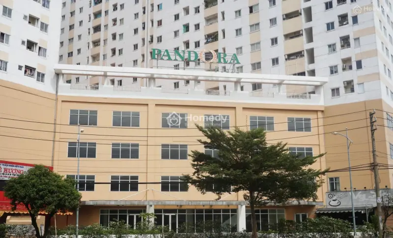 6061040 ảnh đại diện 1