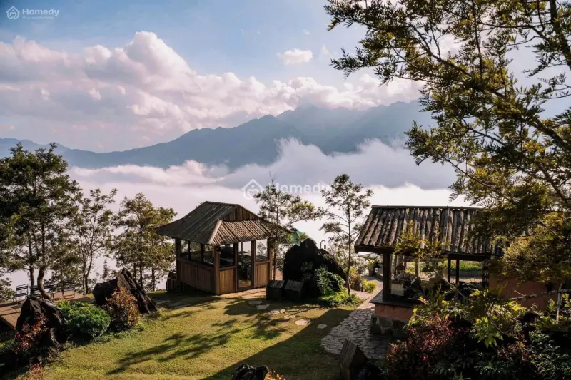 6060973 ảnh đại diện 1