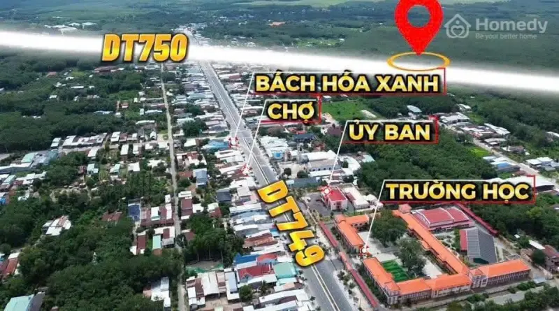 6061066 ảnh đại diện 1