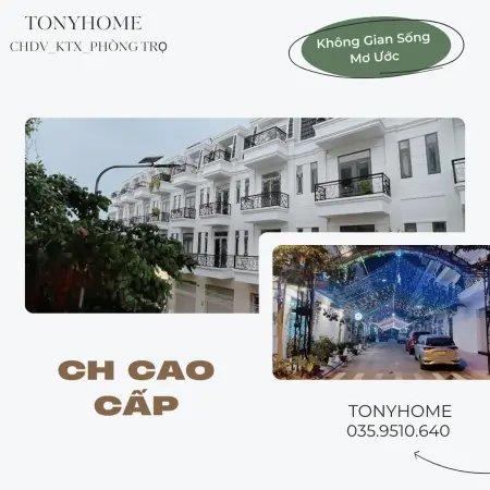 6061019 ảnh đại diện 1