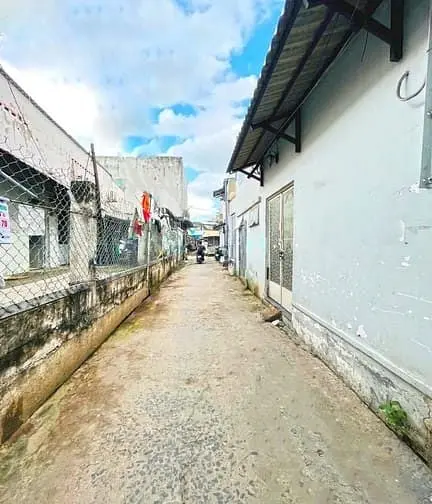 6060815 ảnh đại diện 1