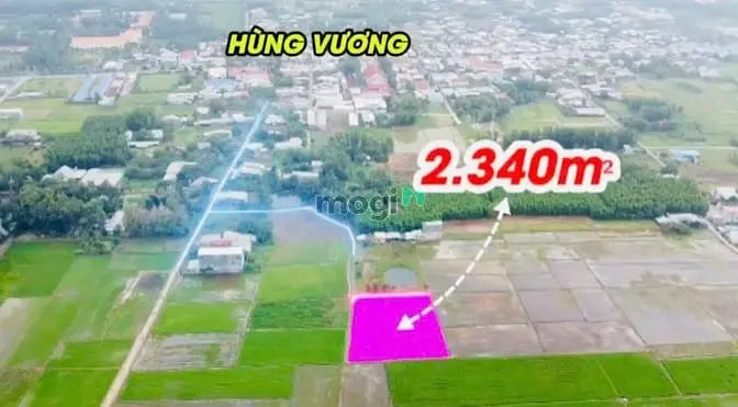 Bán Gấp Đất Thổ Nhà Vườn Nhơn Trạch, Mặt Tiền, Shr Chính Chủ,Gọi Ngay