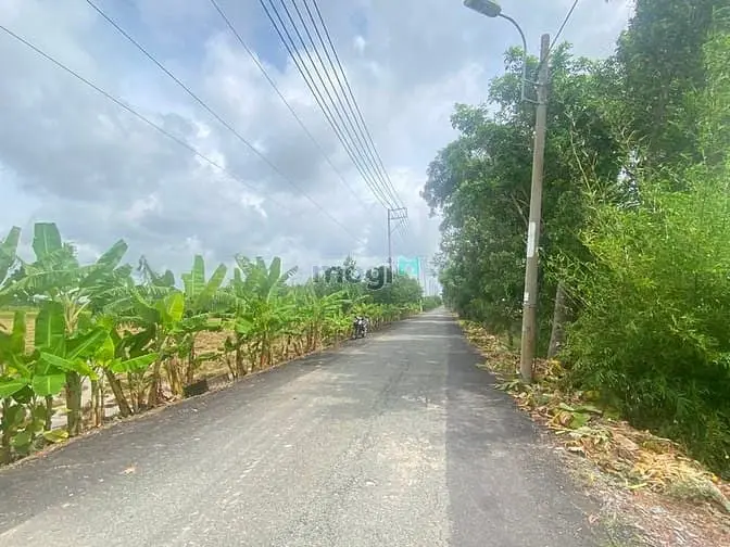 6061022 ảnh đại diện 1