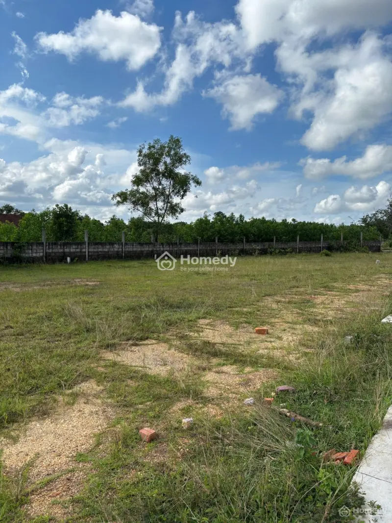 6061126 ảnh đại diện 1