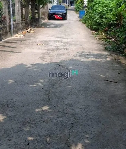 6060819 ảnh đại diện 1