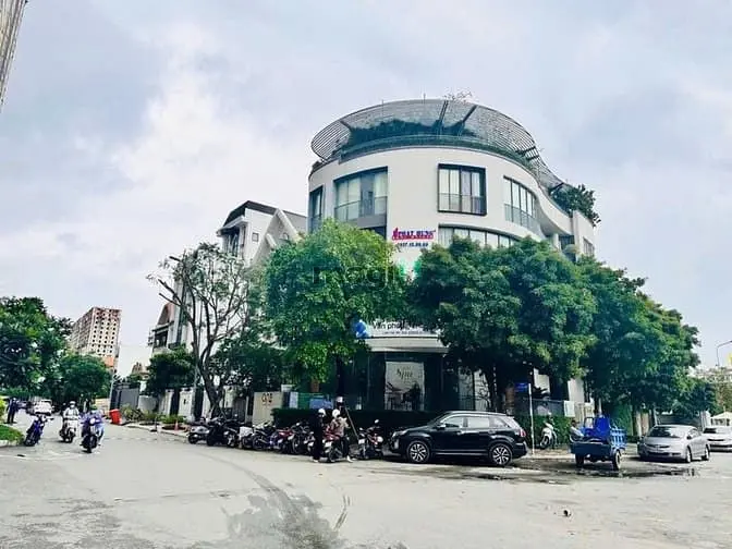 6061140 ảnh đại diện 1