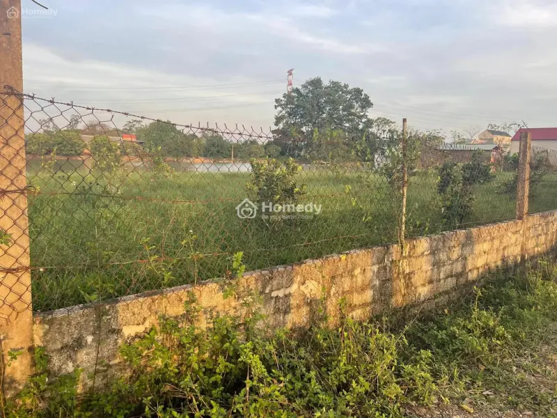 6060868 ảnh đại diện 1