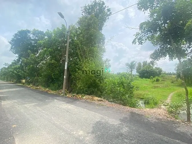 Bán Đất Vườn Mặt Tiền Đường Đê Số 1 Giá Rẻ