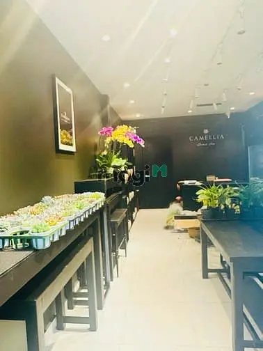 6060833 ảnh đại diện 1
