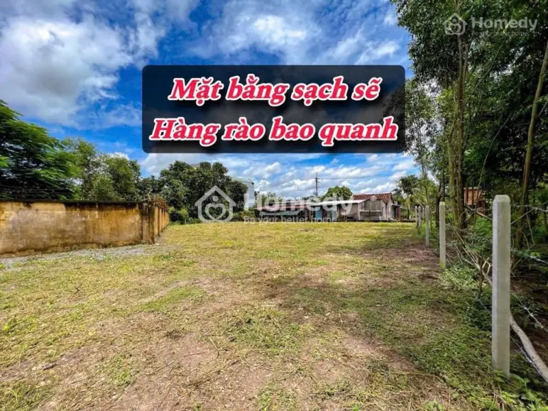 6061025 ảnh đại diện 1