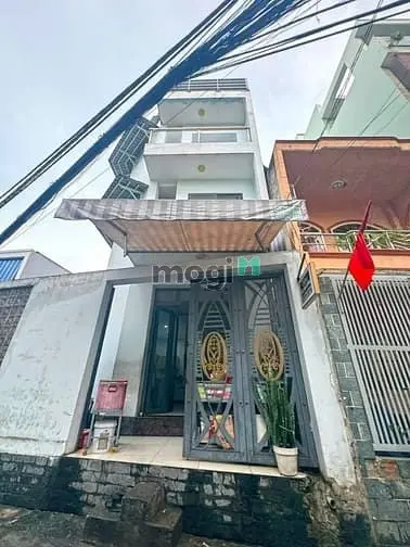 6060882 ảnh đại diện 1