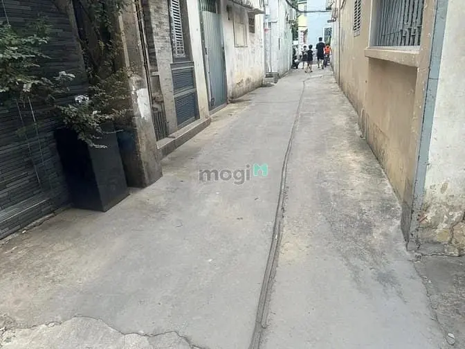 6061402 ảnh đại diện 1