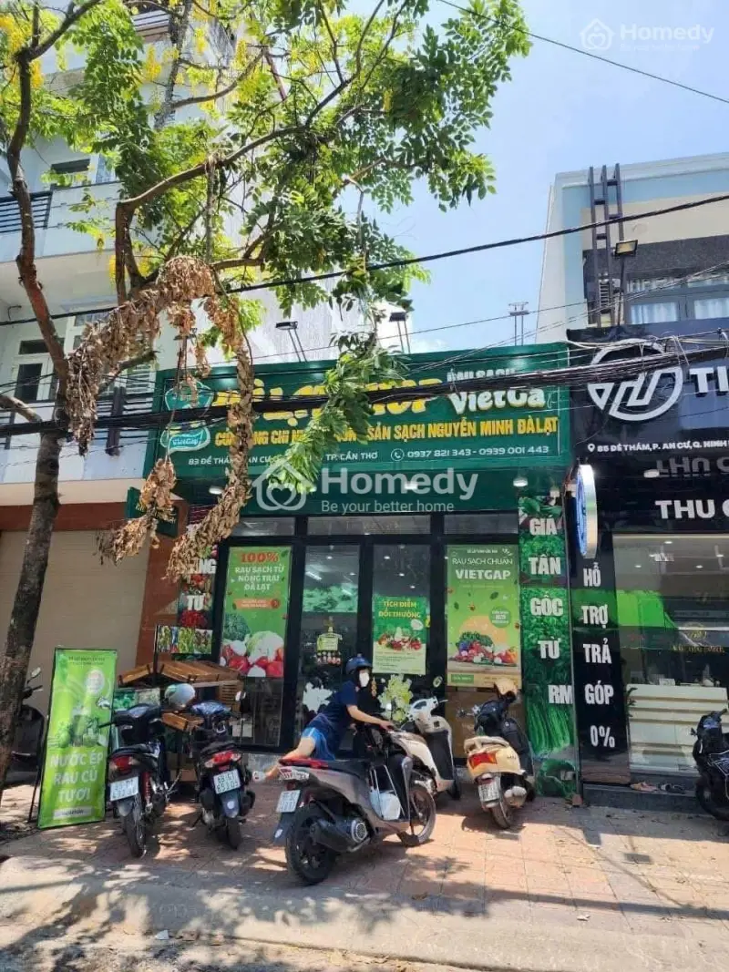 6061279 ảnh đại diện 1