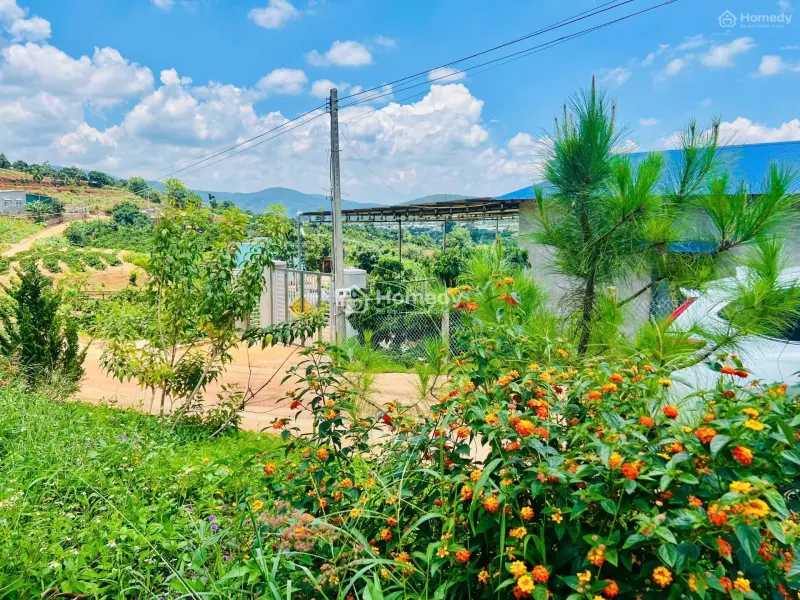 6061597 ảnh đại diện 1