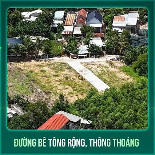 6061550 ảnh đại diện 1