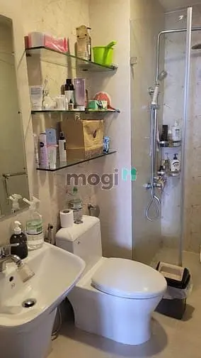 6061463 ảnh đại diện 1
