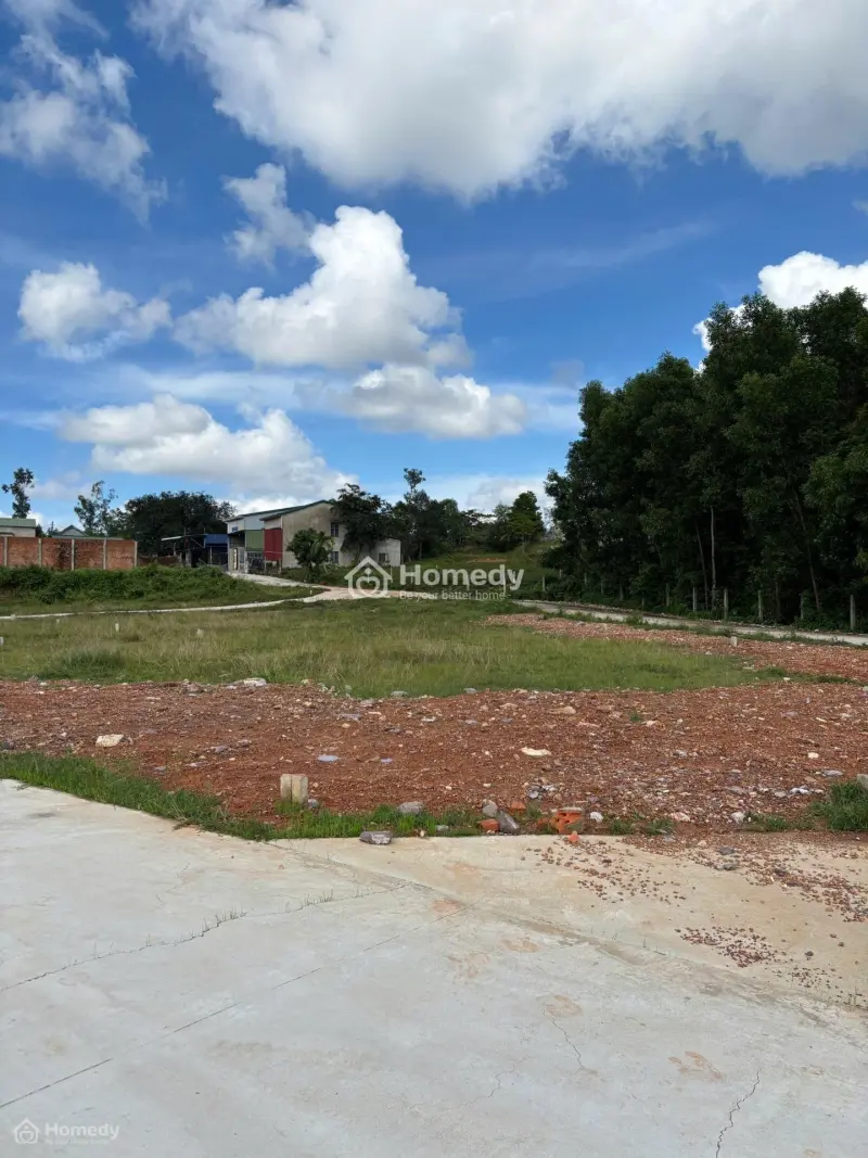 6061485 ảnh đại diện 1