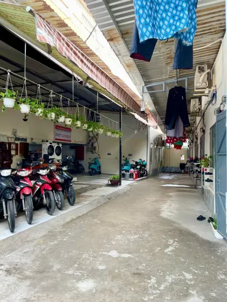 6061364 ảnh đại diện 1