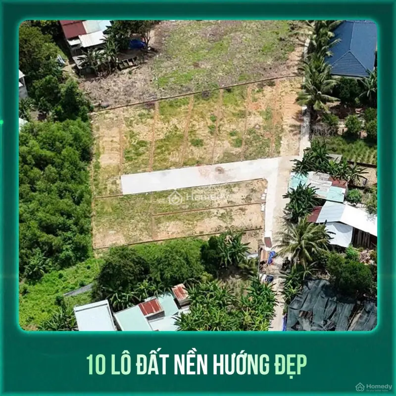 6061386 ảnh đại diện 1