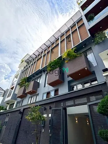 6061301 ảnh đại diện 1