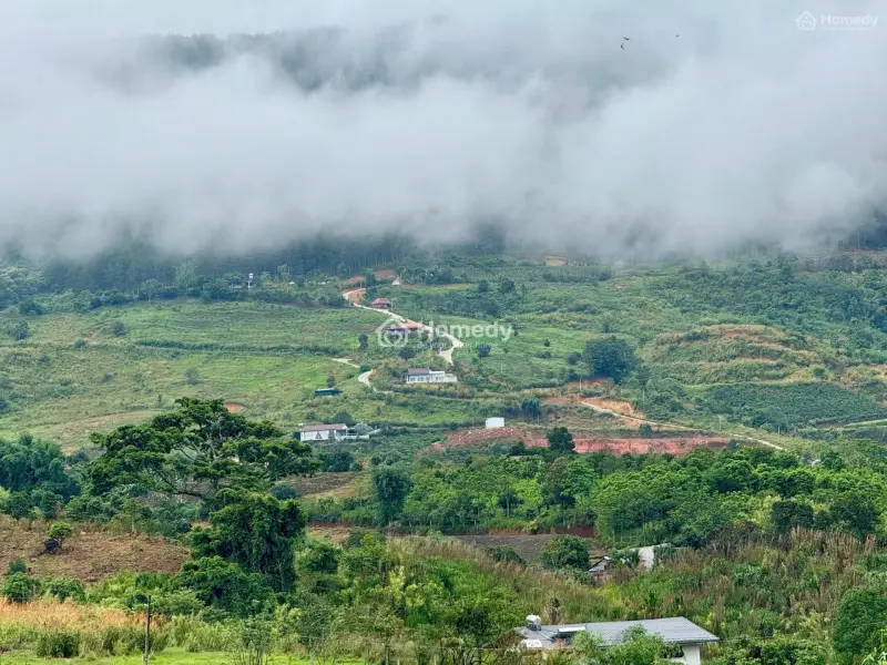 Đất Ven Đà Lạt Giá Chỉ 550 Triệu, Shr, View Đồi Thông Mát Mẻ