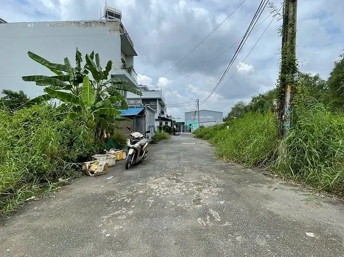 6061521 ảnh đại diện 1