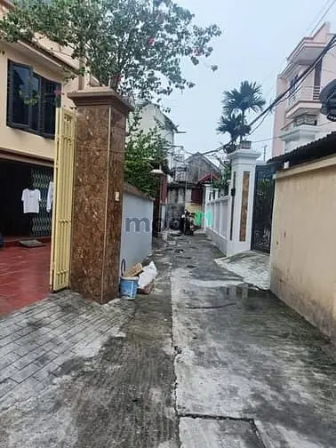 6061428 ảnh đại diện 1