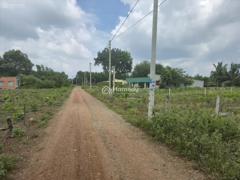 6061283 ảnh đại diện 1