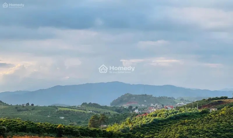 6061595 ảnh đại diện 1