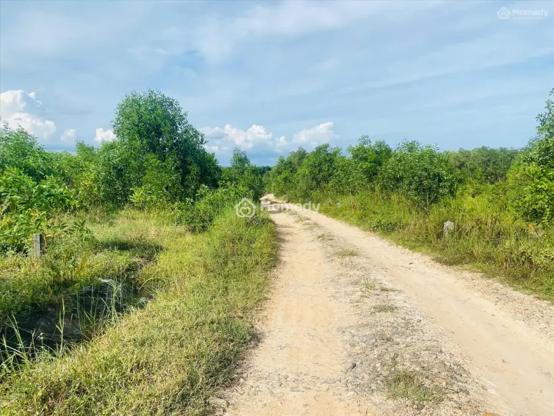 6061281 ảnh đại diện 1