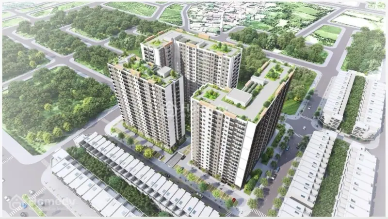 6061274 ảnh đại diện 1