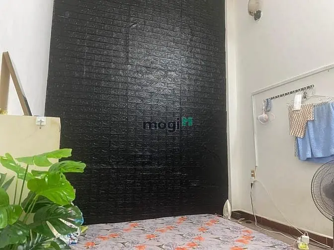 6061343 ảnh đại diện 1