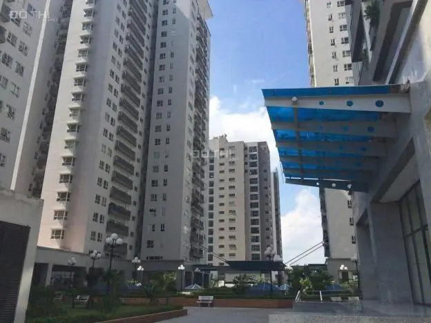 6061584 ảnh đại diện 1