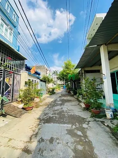 6061522 ảnh đại diện 1
