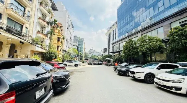 6061384 ảnh đại diện 1