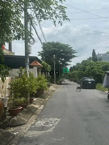 6061438 ảnh đại diện 1