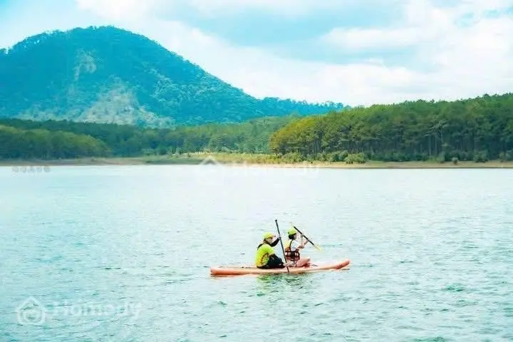 6061385 ảnh đại diện 1