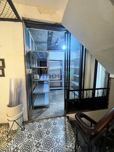 6061341 ảnh đại diện 1