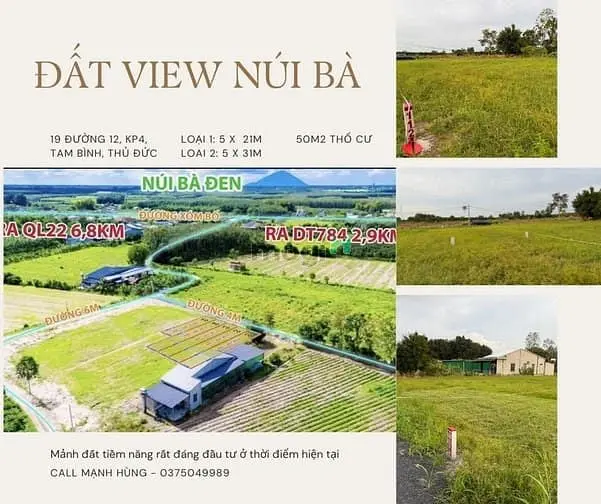 6061723 ảnh đại diện 1