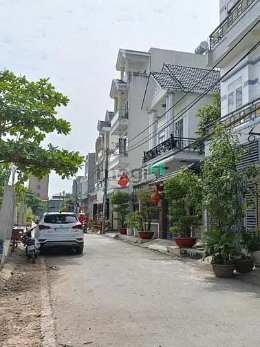 6061854 ảnh đại diện 1