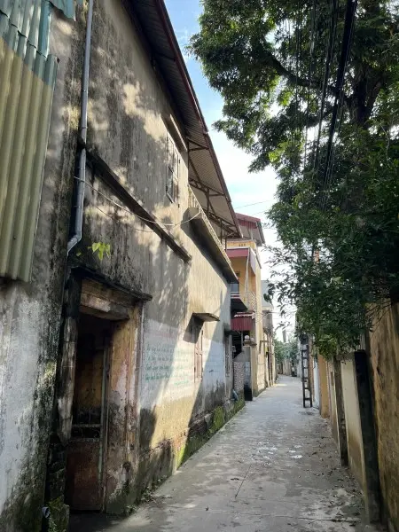 Chính Chủ Cho Thuê Nhà Nguyên Căn